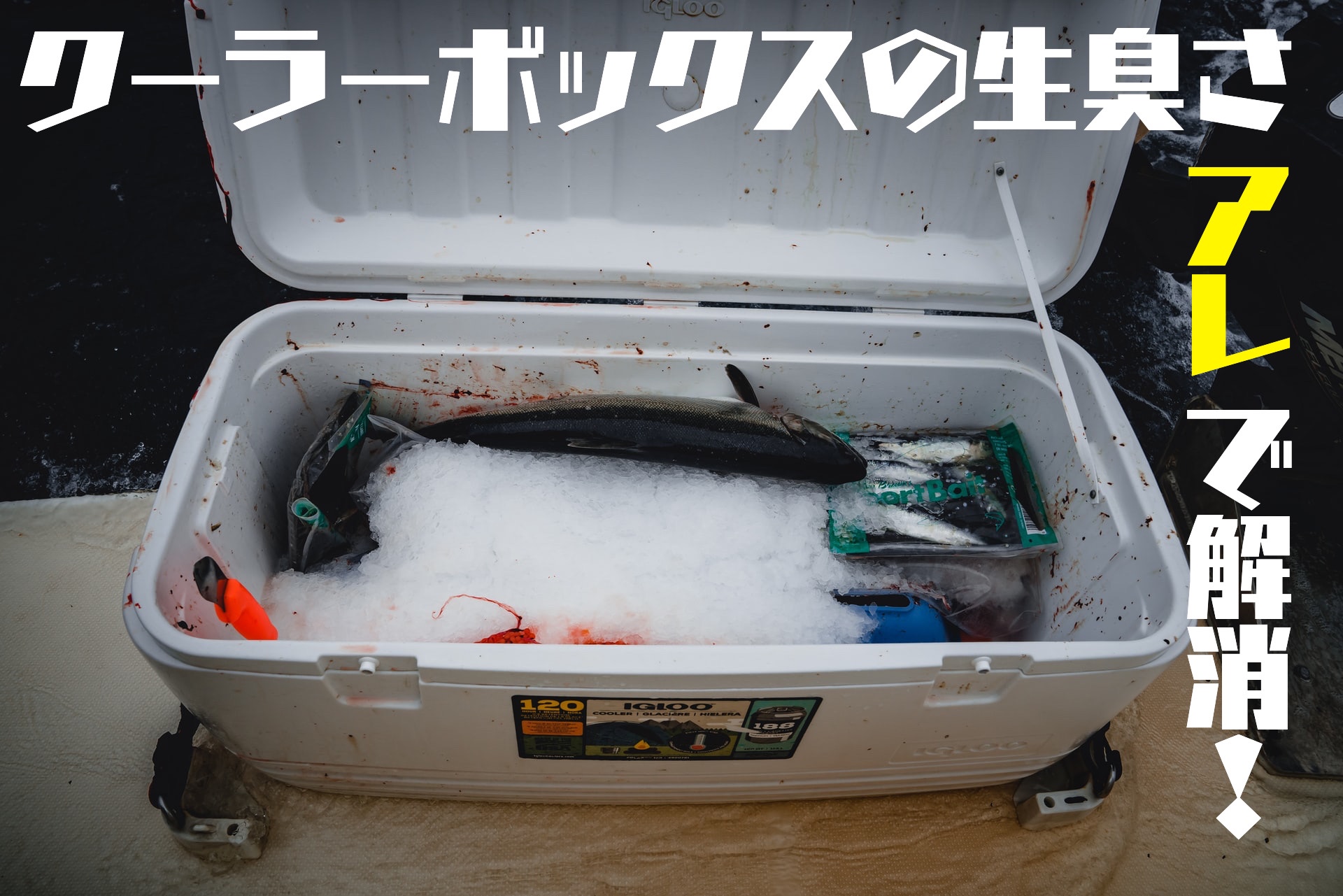 クーラーボックスの匂い消しには酸性であるクエン酸一択 重曹は不要 ぱらふぁむキャンプ クーラーボックスの匂い消しには酸性であるクエン酸一択 重曹は不要 ぱらふぁむキャンプ