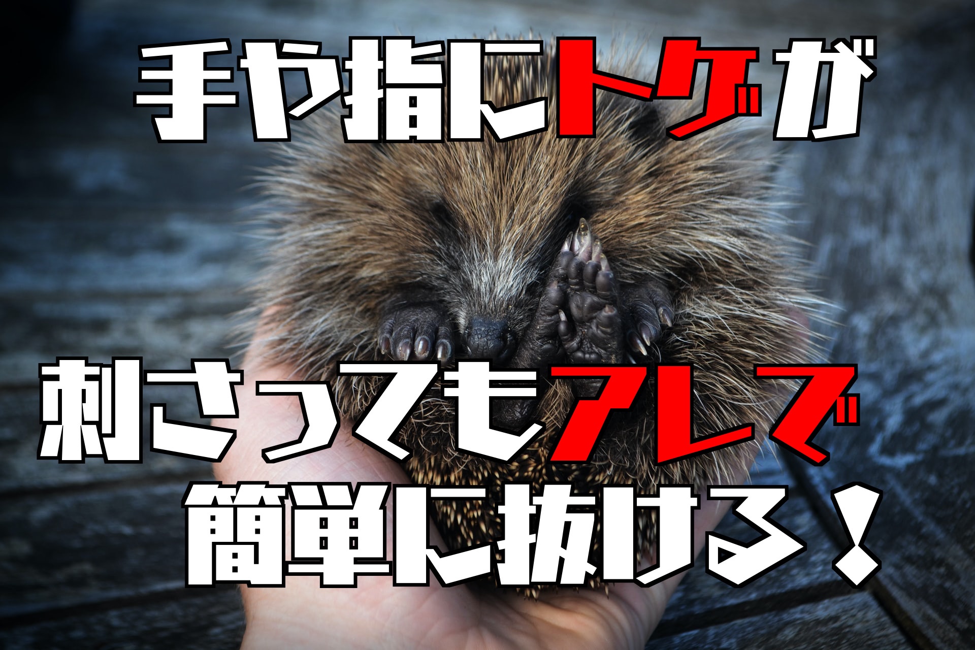 指や手に棘 とげ が刺さった時 五円玉を使えば簡単に抜くことが可能 ぱらふぁむキャンプ